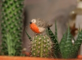 Super tiny and cute felted robin miniature - mini bird