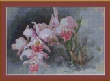 Pink Orchid Cross Stitch Pattern