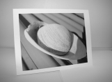 Abstract photo notecard - stone and seashell 