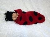 Lady Bug Cocoon and Beanie Set *Free Shipping*