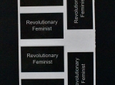 1x Revolutionary Feminist Sticker Sheet 0301