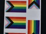2x LGBTQ+ Flag Sticker Sheet 0202