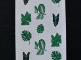 Indoor plants Sticker Sheet 0801
