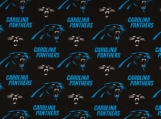 Carolina Panthers Bandana - 22"x22" NFL - Handmade  