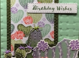 Celebrate cactus wishes