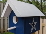 Dallas Cowboys Bird House