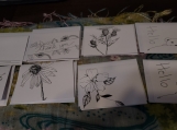 Hand Drawn Greeting/Note Cards