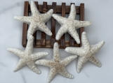 Mini Starfish- Set of 5