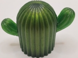cactus/Resin art