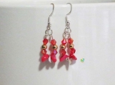 RnJ_GemsCrystals_Red Earring 925 SilverWire
