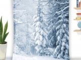 Winter Wonderland Single-Side Printing Flannel Blanket