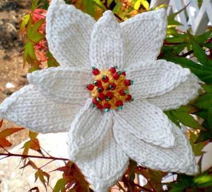 Poinsettia Knitted Flower