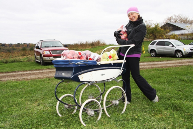 Carrying apples, Ontario orchard.