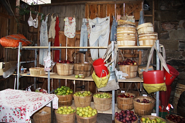 Funky fall decor, orchard store.