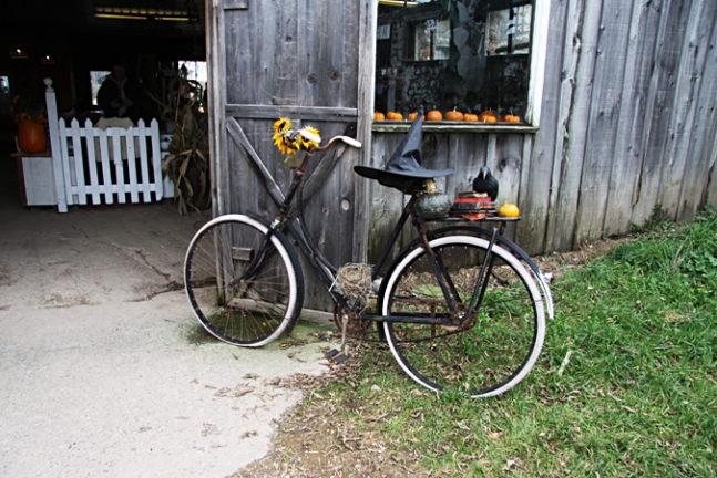 Bike on the farm, Halloween decor.