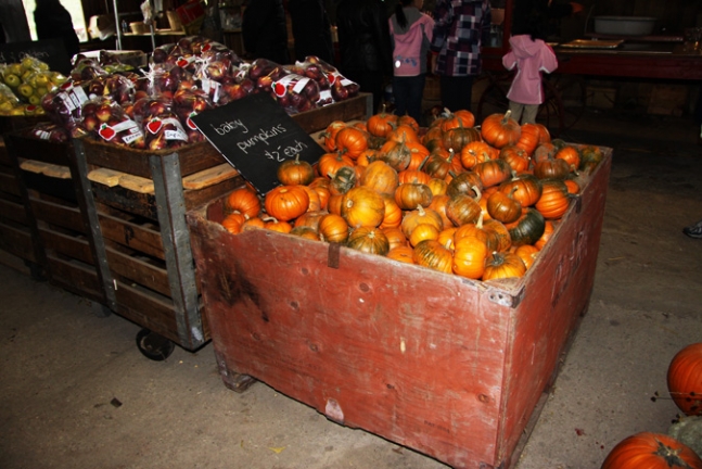 Store full of apples and pumkins