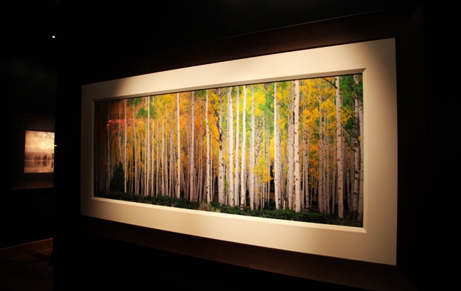 Art Gallery featuring work of Rodney Lough Jr.