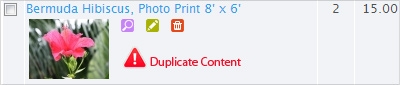 Duplicate Content Icon