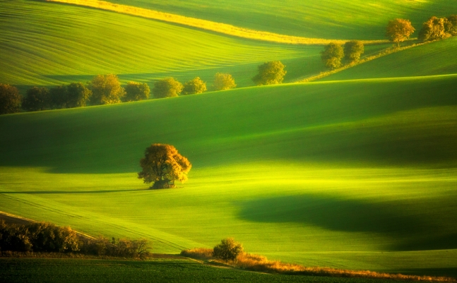 Autumn time by Pawel Uchorczak.