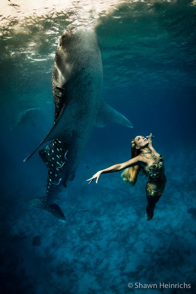 Underwater fashion photography.