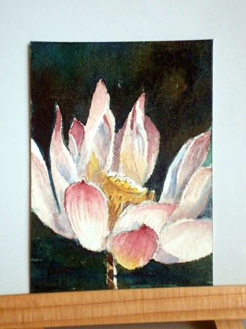 Peaceful Morning Lotus Original ACEO.