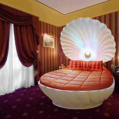 Shell Bed.