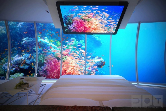 Aquarium Bedroom.