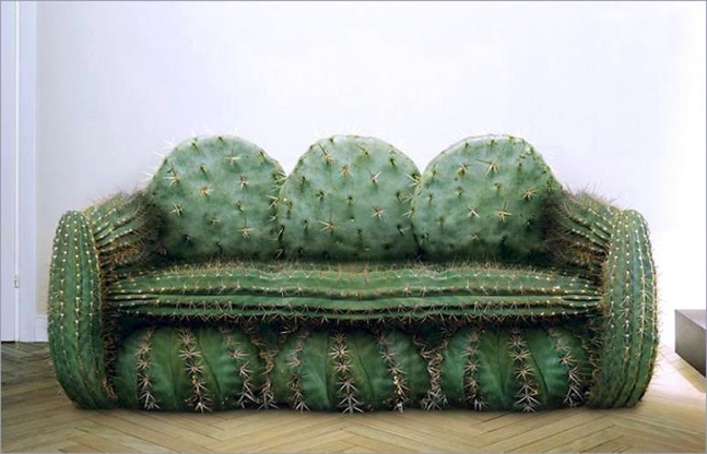 Cactus sofa.