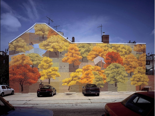 Wall Murals by David Guinn.