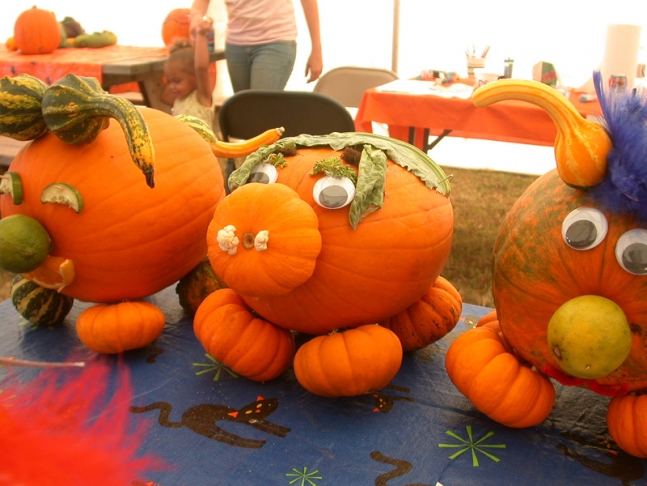 Pig Pumpkins.