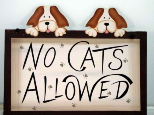 No Cats Allowed - Sign