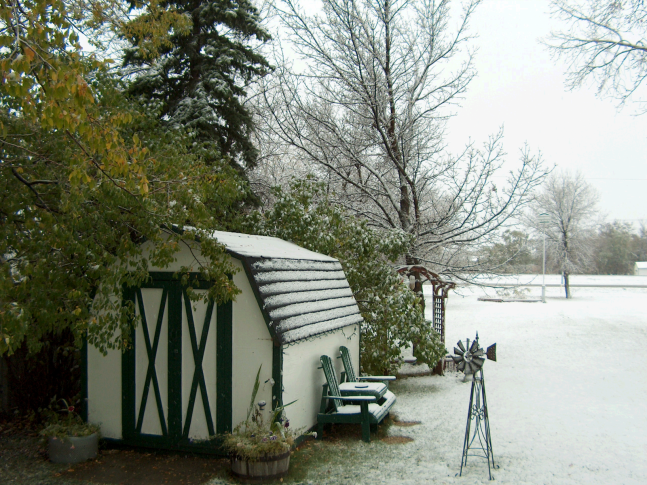  yard in Estevan