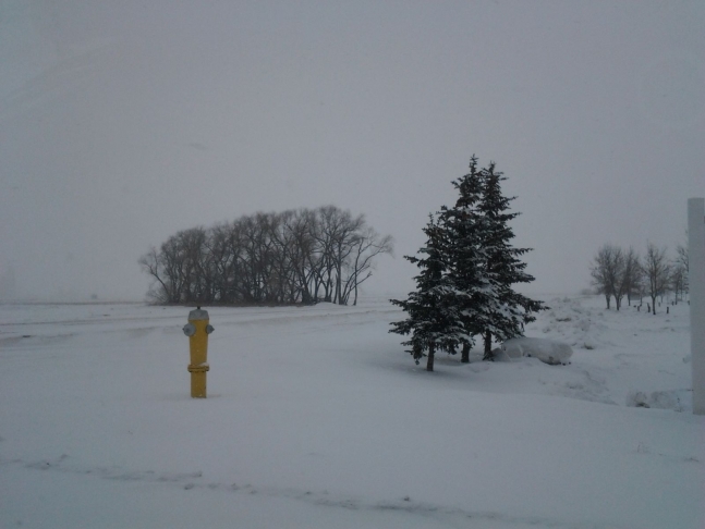 another spectacular view of the prairie