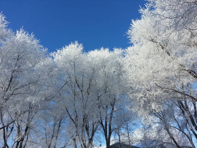 Winter in Saskatchewan