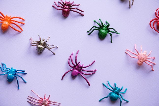 halloween home decor Spiders