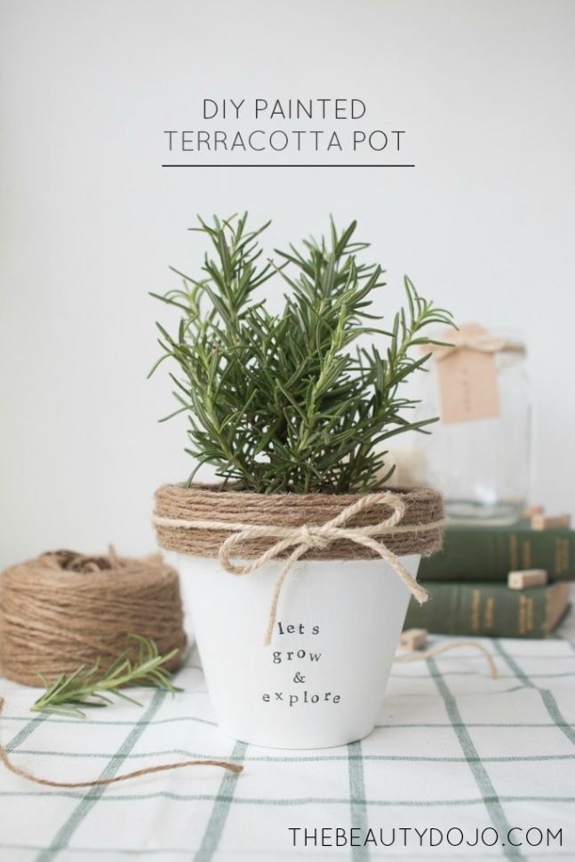 Terracota pots DIY