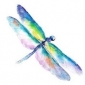 Dragonfly Gifts